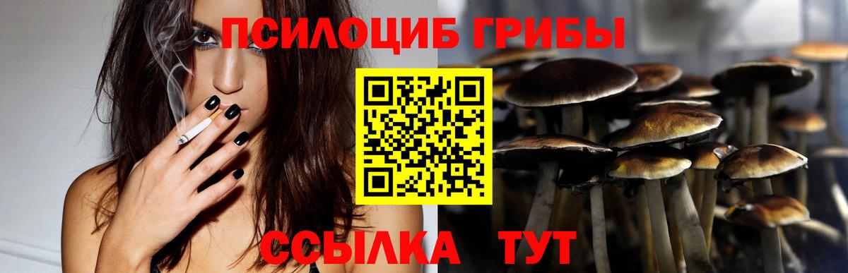 где купить наркоту  Псилоцибиновые грибы ЛСД  Вход с VPN  Магнитогорск 